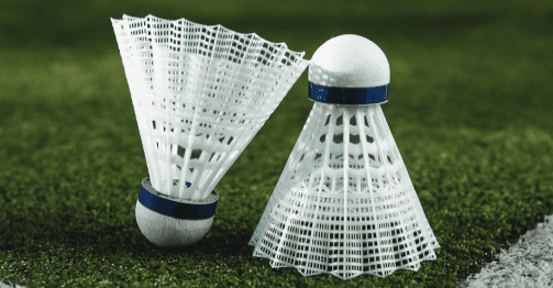 Badminton Court at Ananda Crown Mohali