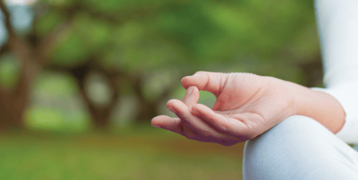 Yoga Lawn at Ananda Crown Mohali
